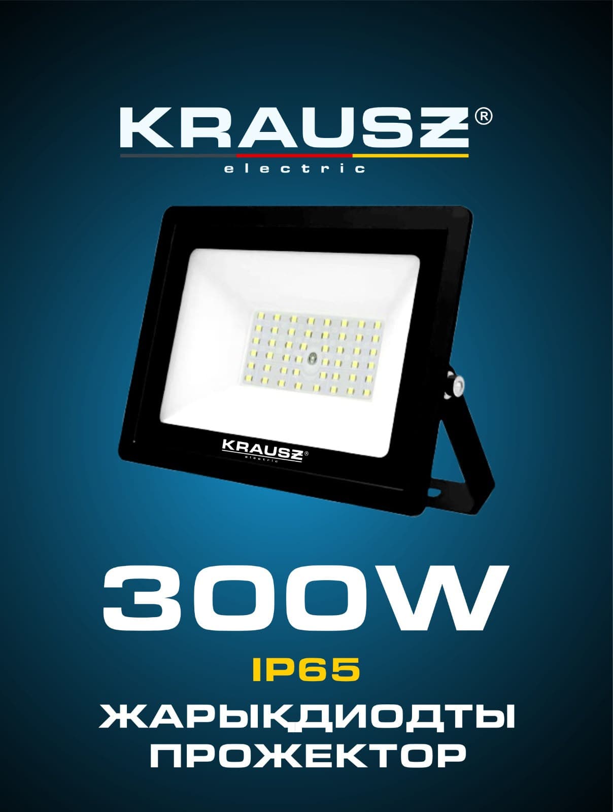 Прожектор 300W 6500К